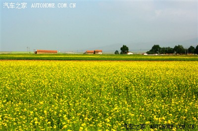 内蒙、宁夏、甘肃、青海自驾游(申精)_雨燕\/速
