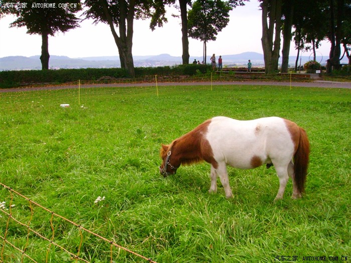 【图】《曾经有个人,爱我如生命》__ 记 2011