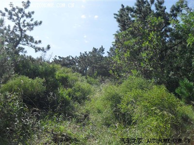 青岛周边自驾游---云头崮_索纳塔八论坛_手机