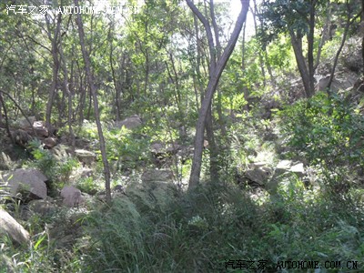 青岛周边自驾游---云头崮_索纳塔八论坛_手机