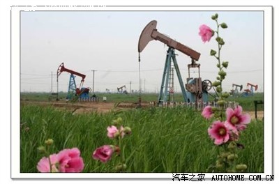 山东东营黄河入海口---生态旅游区一游_北京