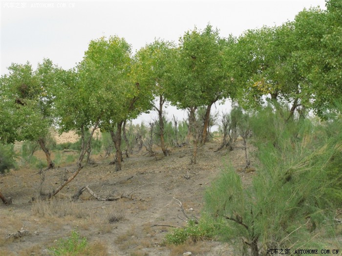 【图】中秋探秘东道海子(9月17日行动续帖图)