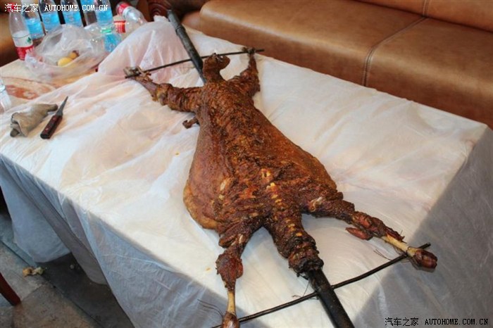 【图】吉林市新君越车友会铭山绿洲小聚