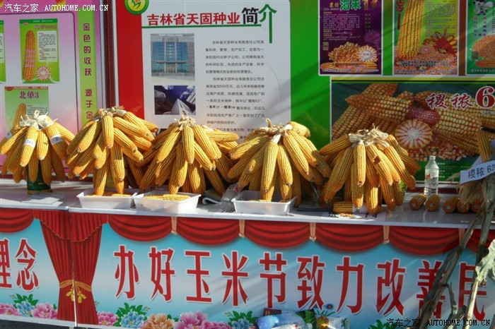 【图】公主岭玉米节晚会