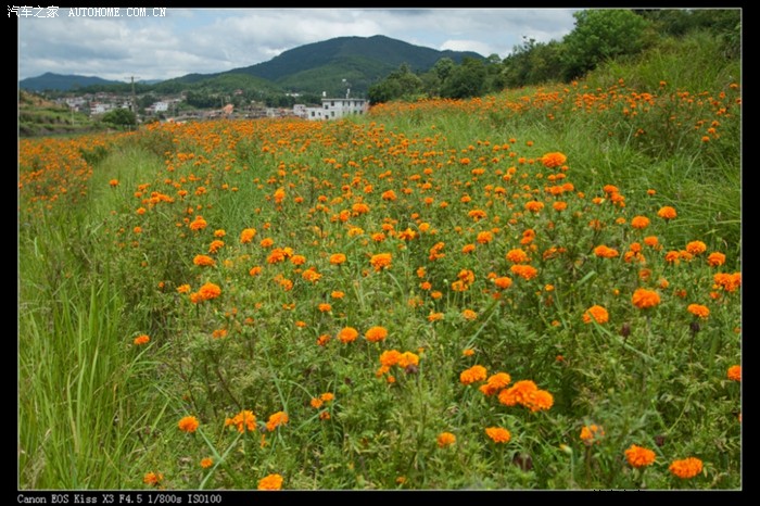 【图】泉州洛江区虹山乡,小地方小风景,花园般