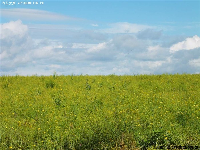 【图】风往北吹,心往北飞,一路向北,直到呼伦贝