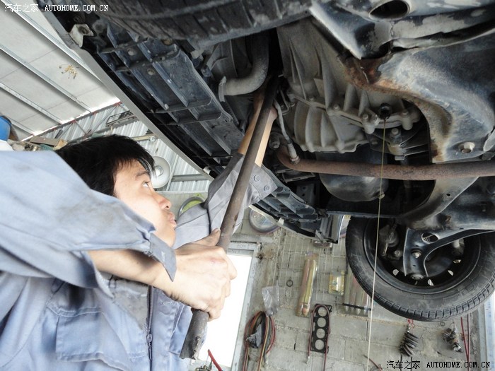 你们的蛋蛋都用什么牌子和型号的齿轮油?