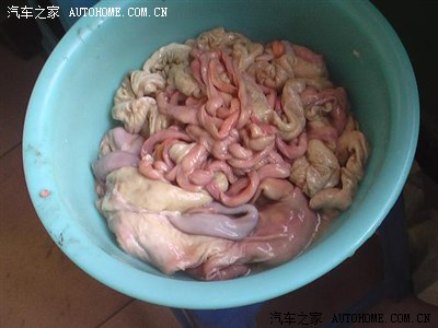 大肠小肠盲肠肚子等等都有了