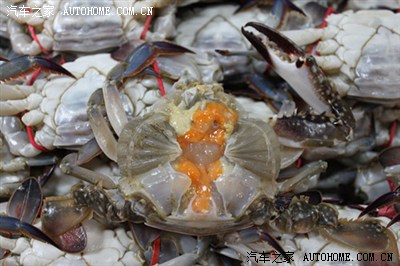 元旦放假东港海鲜市场游记!