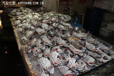 元旦放假东港海鲜市场游记!