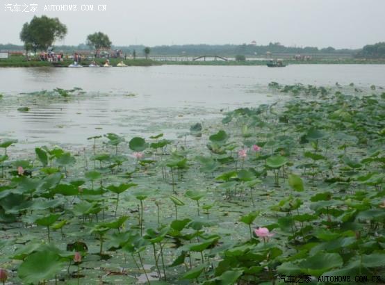 【图】北京至白洋淀自驾游攻略_北京论坛_汽