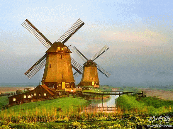 为什么图片上传不了