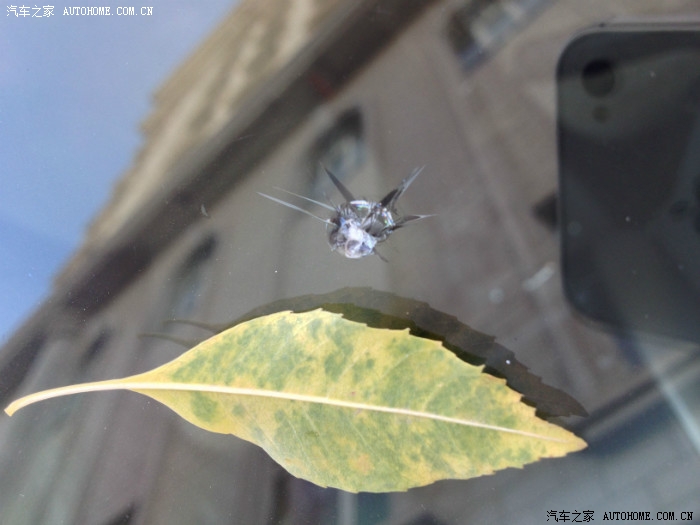 术业有专攻,前挡风玻璃裂纹修复记。