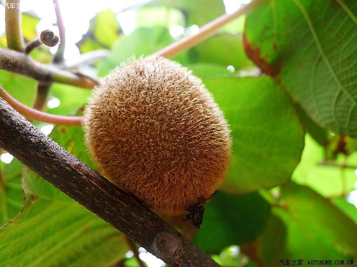 【图】蒋氏故里---奉化溪口弥勒大佛风景区