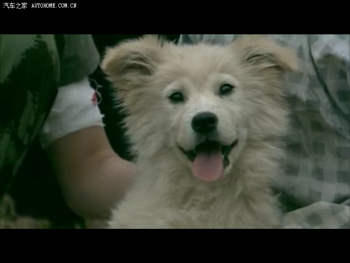 【图】【圈圈】说是粘上去的自己掌嘴呵呵.(视