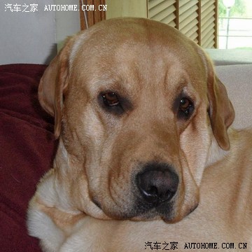 【图】求推荐春节北京出发自驾游线路_自驾游