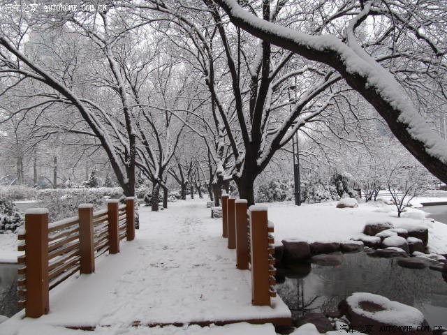 下雪后的场景