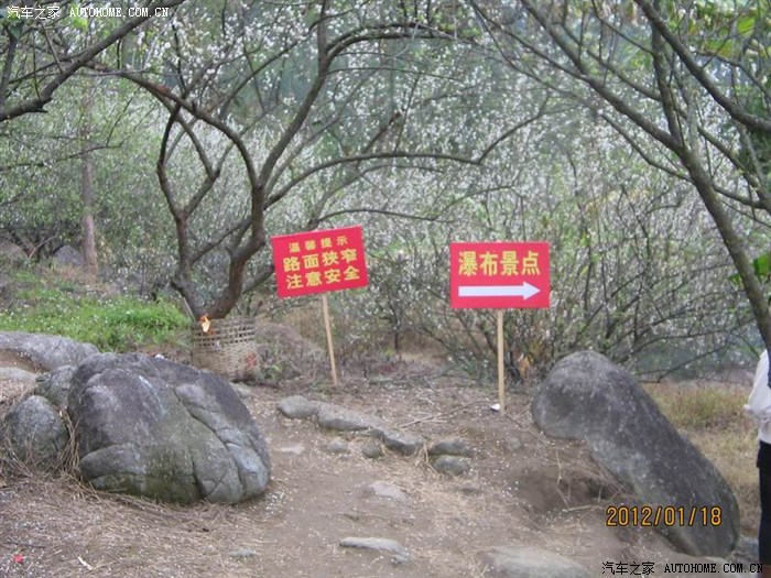 开平大沙赏梅之行