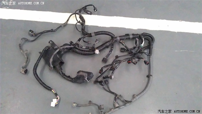 硕鼠硕鼠,一口咬掉我一个月工资,天杀的!