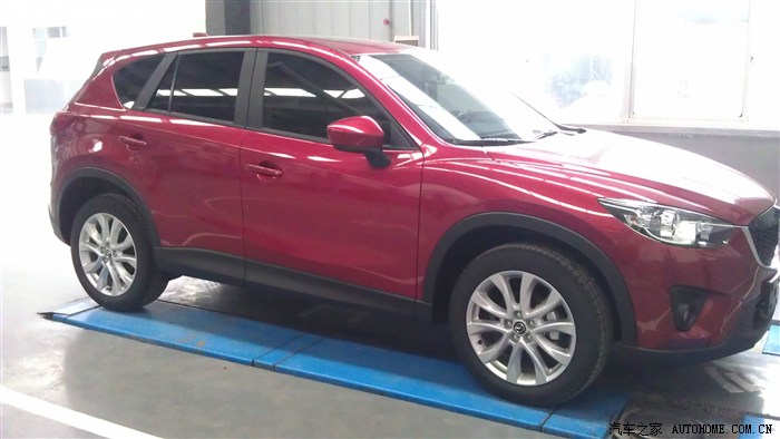 硕鼠硕鼠,一口咬掉我一个月工资,天杀的!