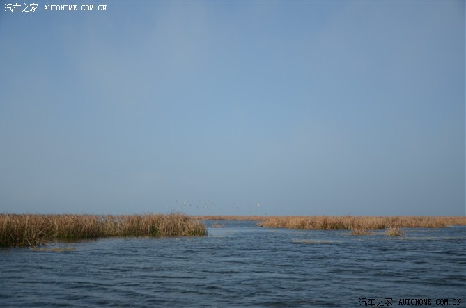 姐的贵州草海自驾游--我爱自驾游