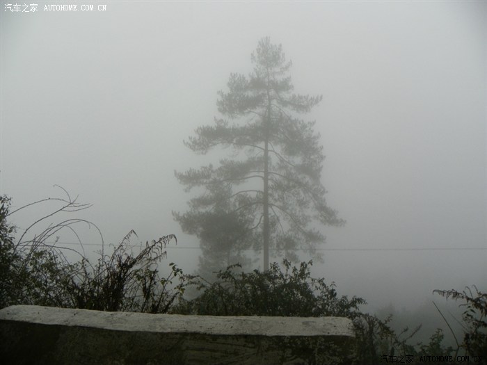 和老婆的朦胧情人节--草原的雾真美