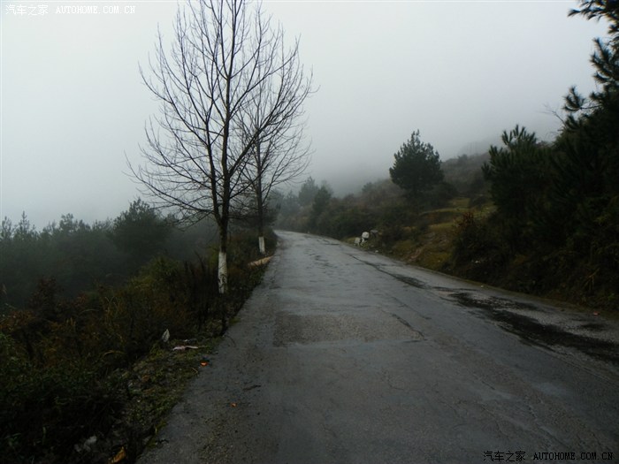 和老婆的朦胧情人节--草原的雾真美