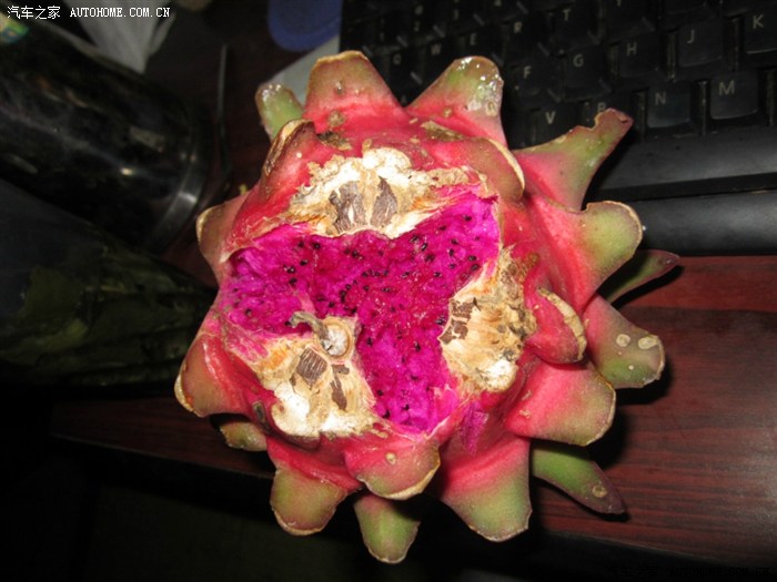 【图】济南菱悦自驾游新去处。采摘火龙果_V