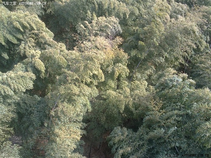 【图】过年去常州溧阳那的温泉和南山竹海!1_