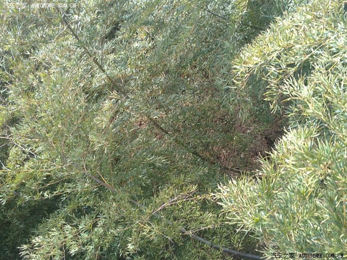 【图】过年去常州溧阳那的温泉和南山竹海!1_