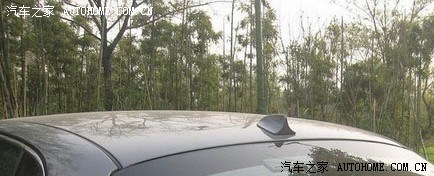 【图】鱼鳍装歪了,咋办?