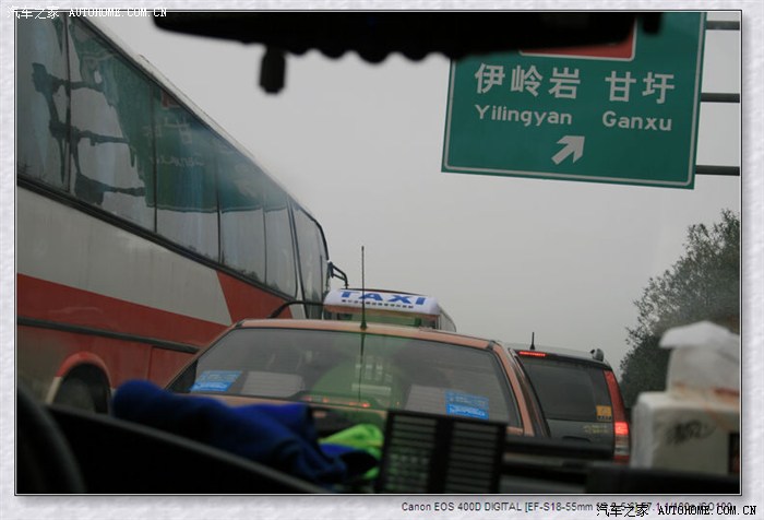 寻寻觅觅寻不见杨幂,草草花花找不见桃花-花花