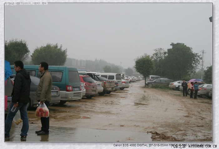 寻寻觅觅寻不见杨幂,草草花花找不见桃花-花花