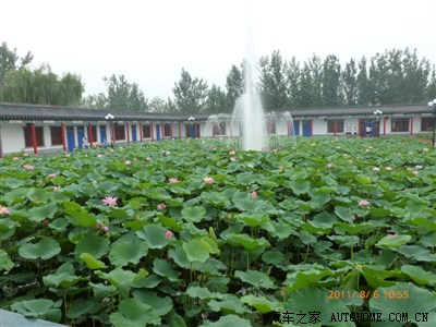 新福克斯2.0的发动机12比1的压缩比,用93号汽