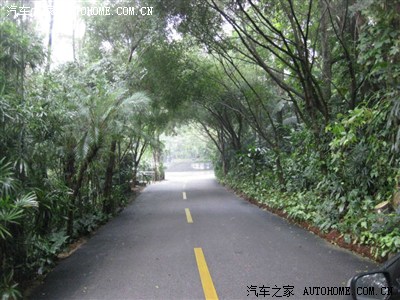 怎么开车去青秀山 400_50e5_dfa2fc4f_dfa2fc4f.jpg