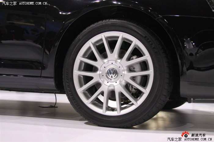 最后一个莫西干人(。)