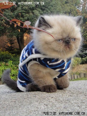 疆维固定式交通技术监控设备设置地点的公告_