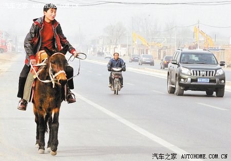 【图】油价飞涨骑摩托太贵 榆林小伙骑马回家