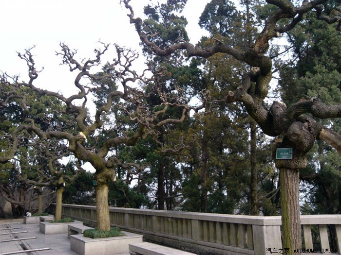 【图】小游中山陵 浩气天存!