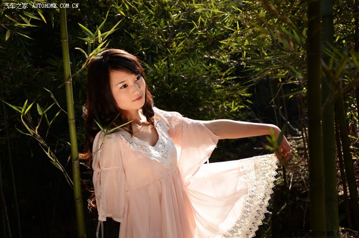 逍客车模竹林美女有xyz