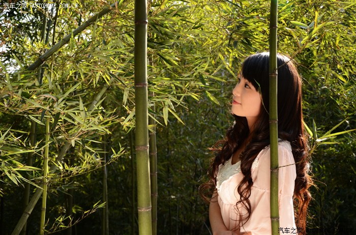 逍客车模&竹林美女(有xyz)