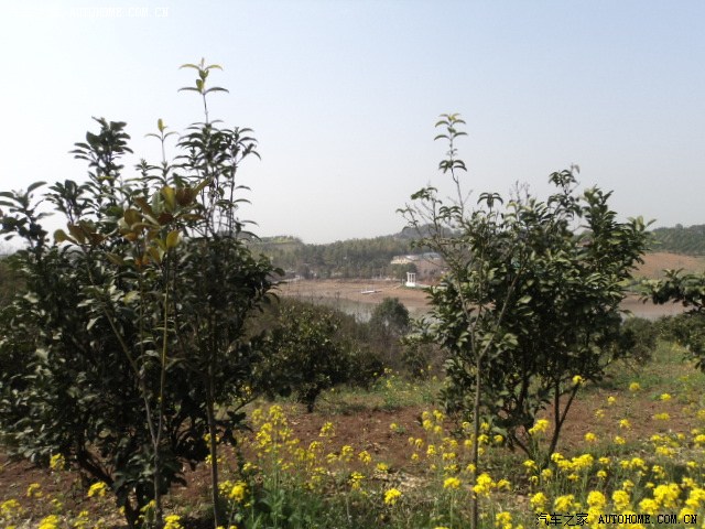 图片涉黄--第二部(荆州八岭山古墓群山中)