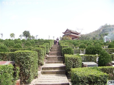 长松寺公墓,父亲长眠在这里.