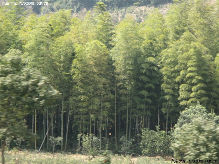 【图】S6带我游春晓油田气处理厂_比亚迪S6