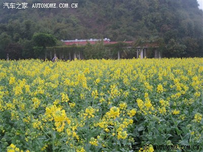 2012卡卡自驾再游广西南宁花花大世界遇杨幂