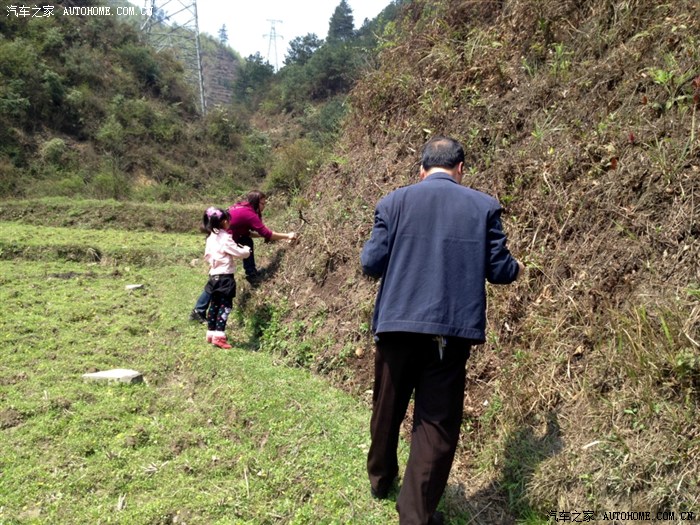 【图】只要锄头舞得好,哪有折耳根挖不倒…