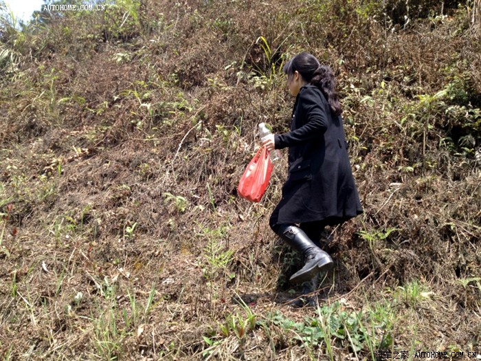 【图】只要锄头舞得好,哪有折耳根挖不倒…