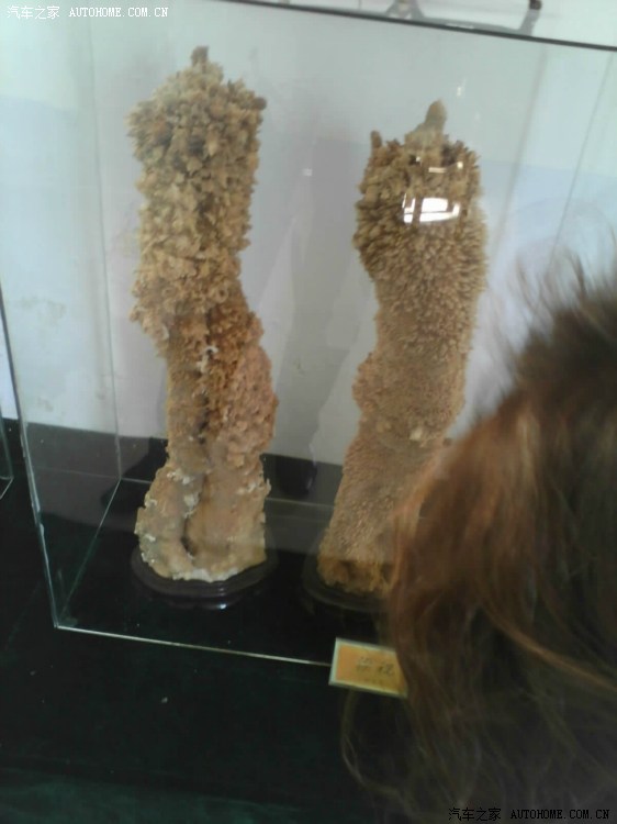 【图】元旦小长假高速不免费 明年高速免费20