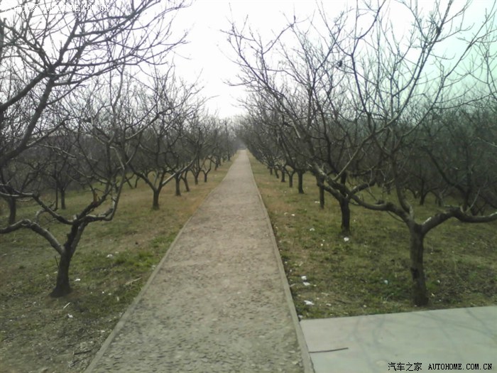 【图】元旦小长假高速不免费 明年高速免费20