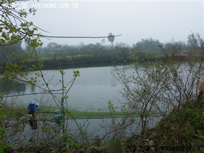 农村的2000,不要笑话_桑塔纳经典\/志俊论坛